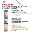 Royal Canin Persian Kitten Корм сухой сбалансированный для персидских котят (до 12 месяцев), 10 кг